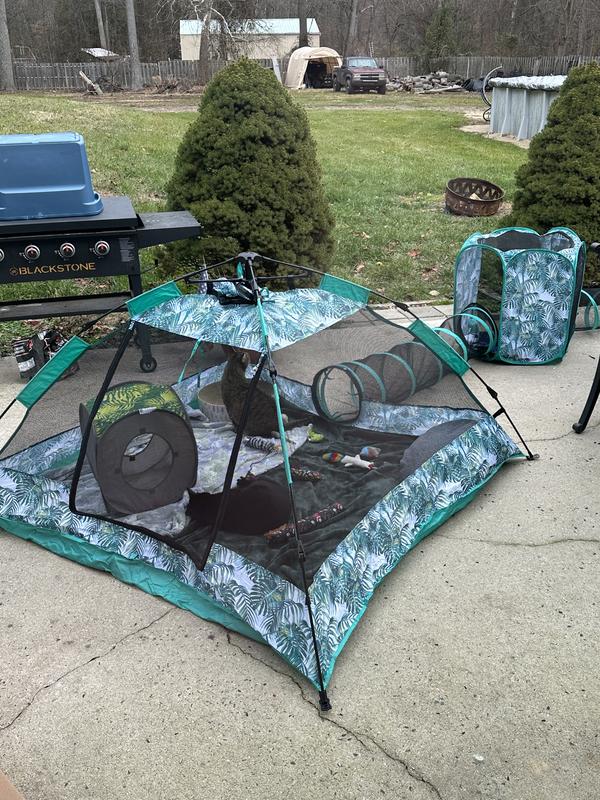 Sometimes the kids put things inside for them, but they only need to be in there loving the outdoors