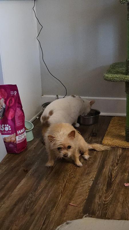 It's there but they weren't There yet.