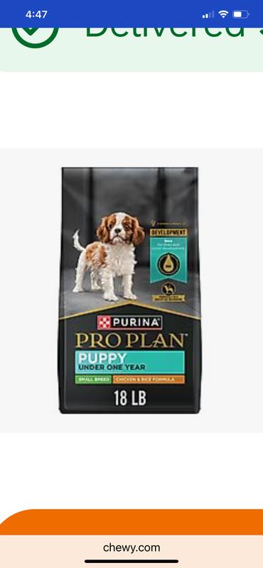 I ordered chicken n rice