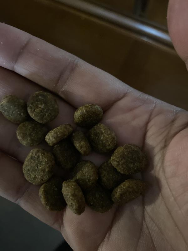 Big kibble