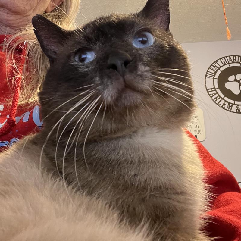 Thanx for rescuing me human