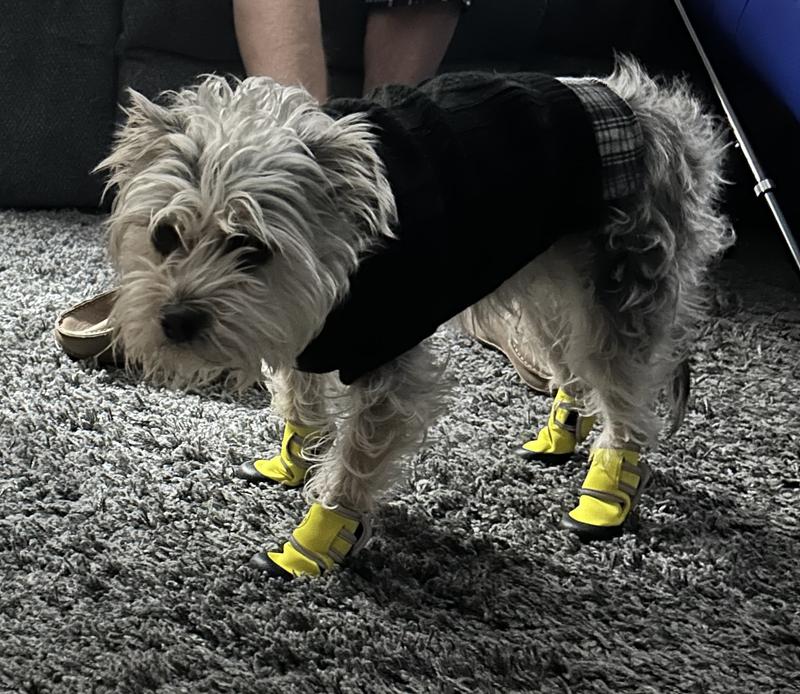 He wasn’t thrilled at first, but now he is!