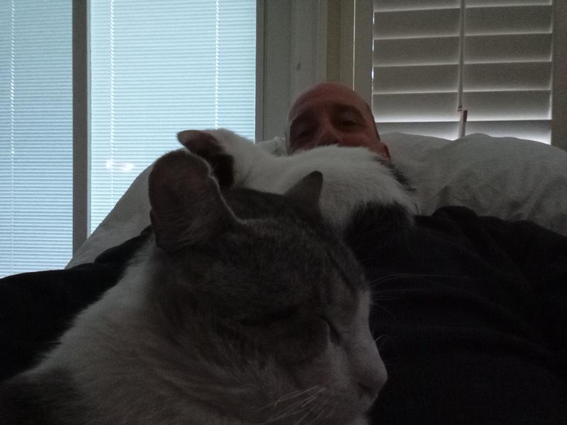 Contentment