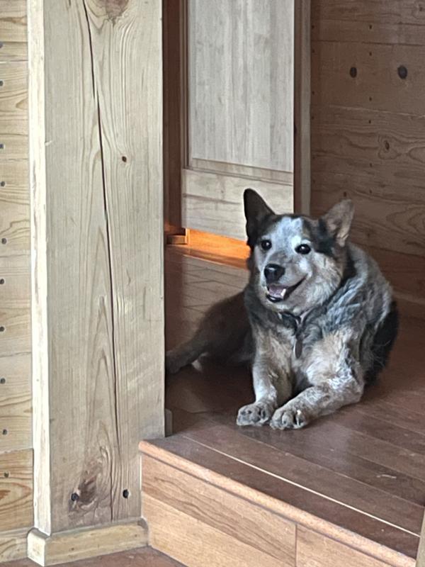 She’s camera shy, but a real sweetheart and a lady.