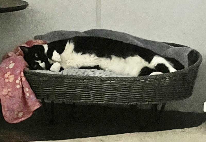 Just Right & comfortable