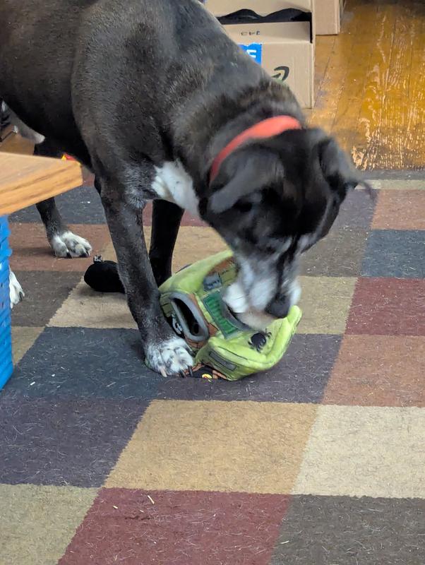 Ghostbusting so he can find the treats!