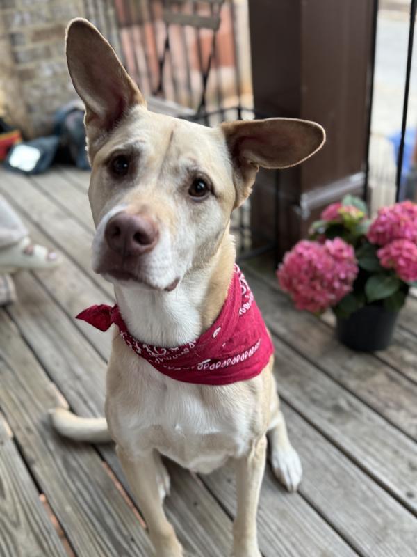 This is what a satisfied customer looks like