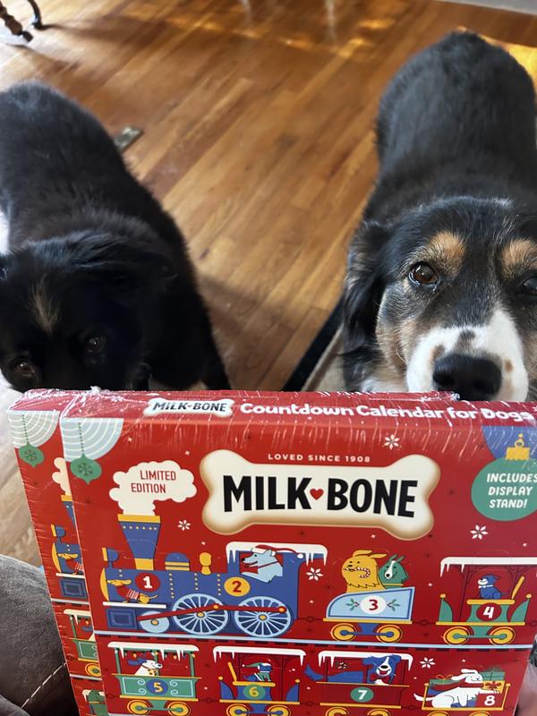 Look what came in the mail for us!!!