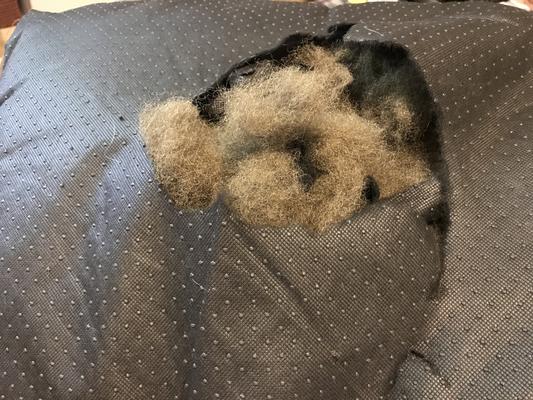 Bottom of AKC Self-Warming Premium Pet Bed is very flimsy and easily torn