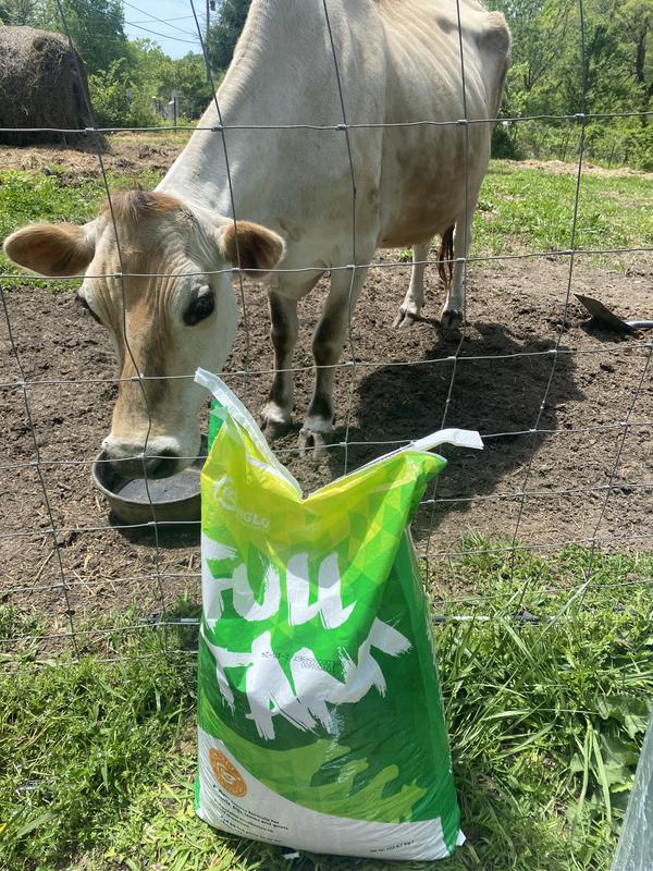 SUNGLO Full Tank Pelleted Show Animal Cattle, Sheep, & Goat Supplement