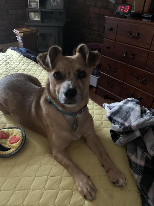 Betty Rose loves Chewy!!!