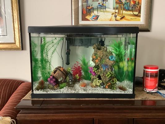 Marina aquarium clearance kit