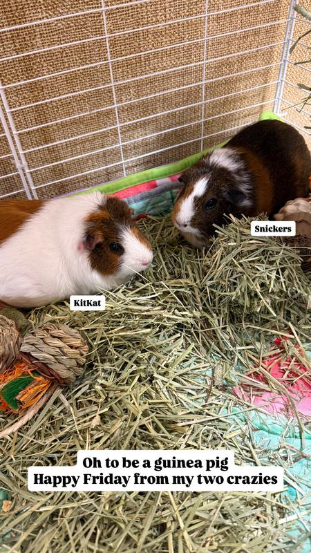 My two precious babies