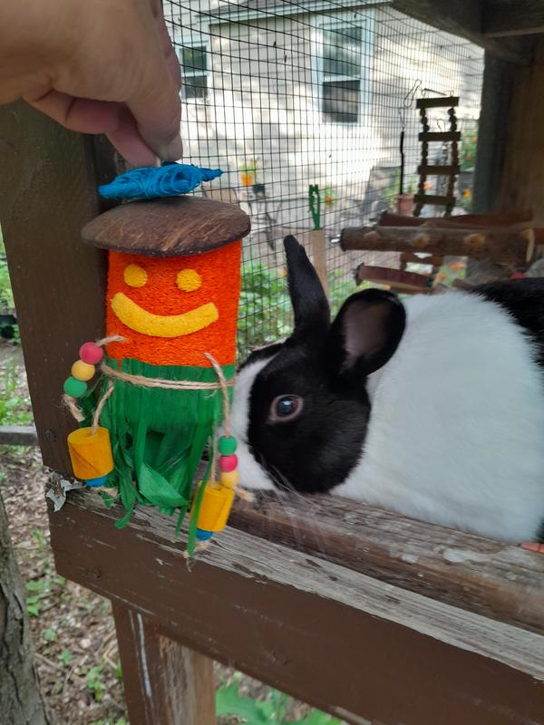 Hubey loves his new friend.