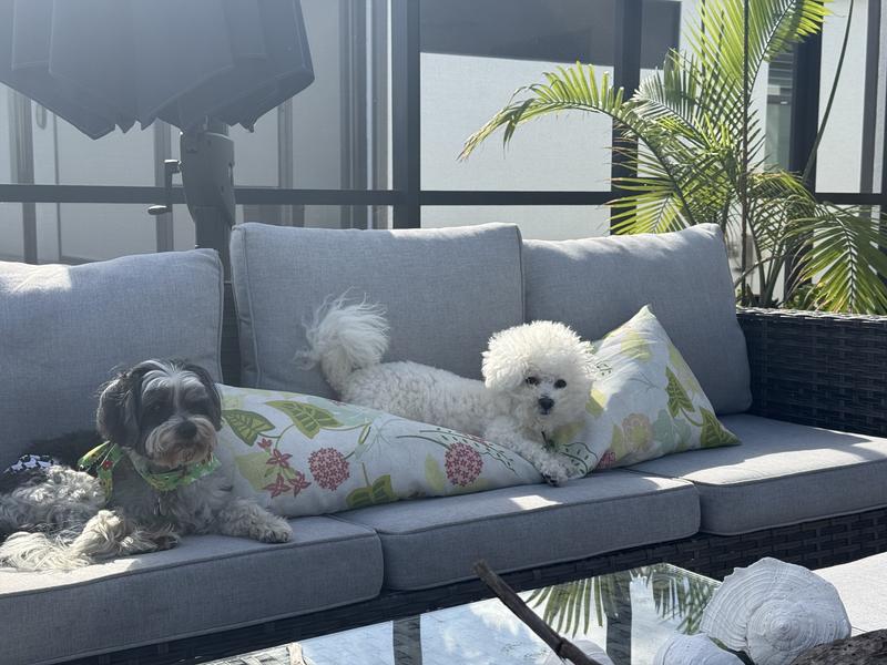 Beau and Lily love Salmon jerky!