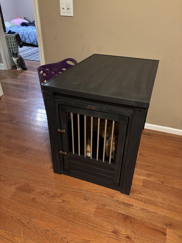 Pickles in his crate