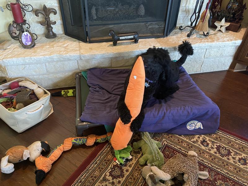I love my carrot!