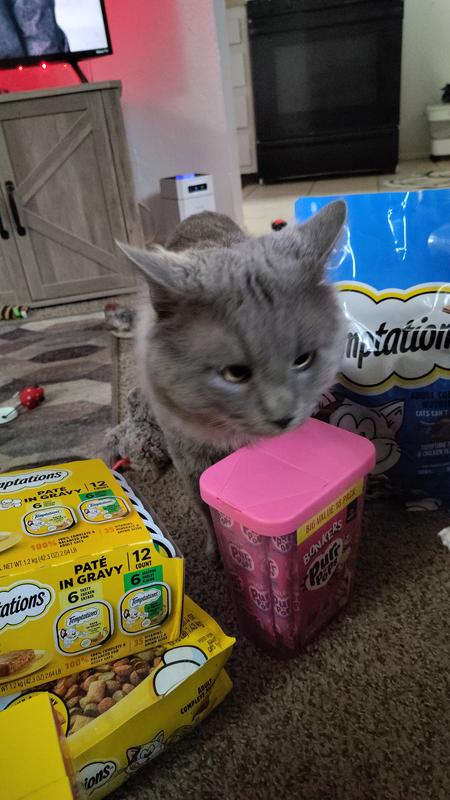 BigBlu making sure he got all his treats he ordered for himself and his little buddy Franklin these boys are superstars