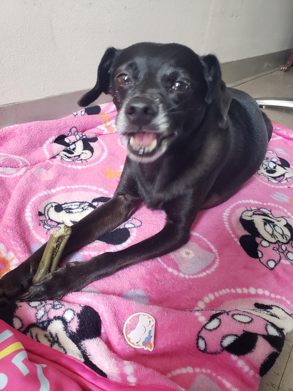 Hi! I'm Little Man!