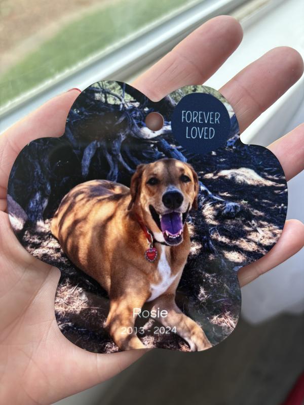 Frisco Christmas "Forever Loved" Paw Shape Metal Personalized Dog & Cat Holiday Ornament