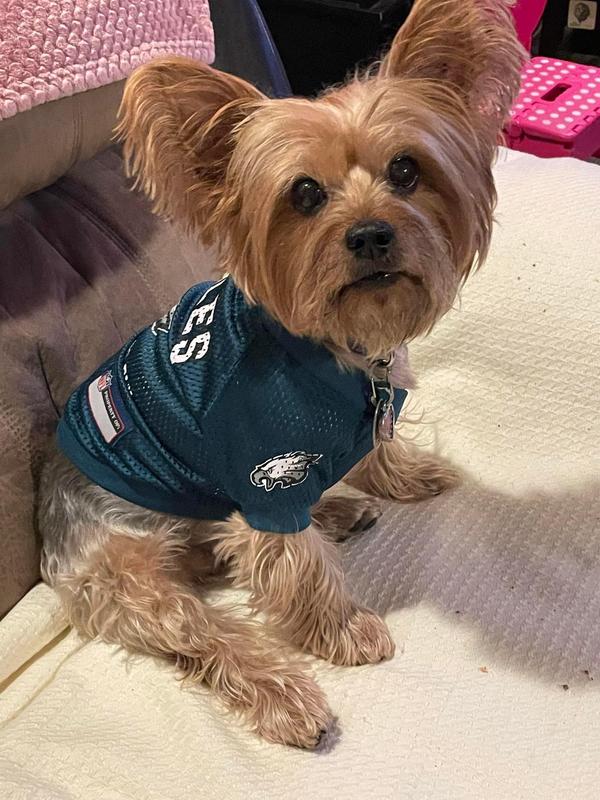 Eagles best sale dog shirt