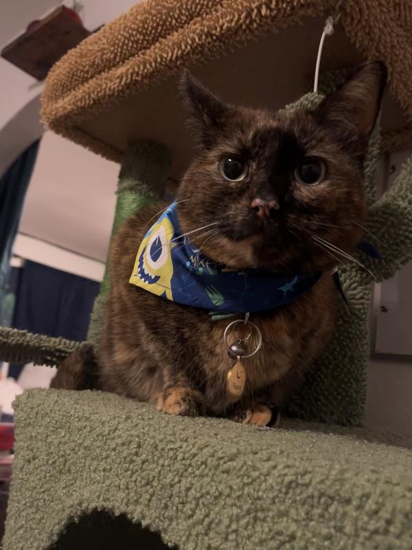 She almost wore it for a whole day