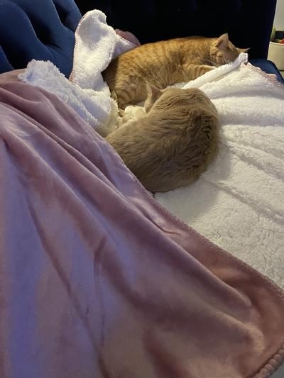 This binkie is our very favorite place to relax