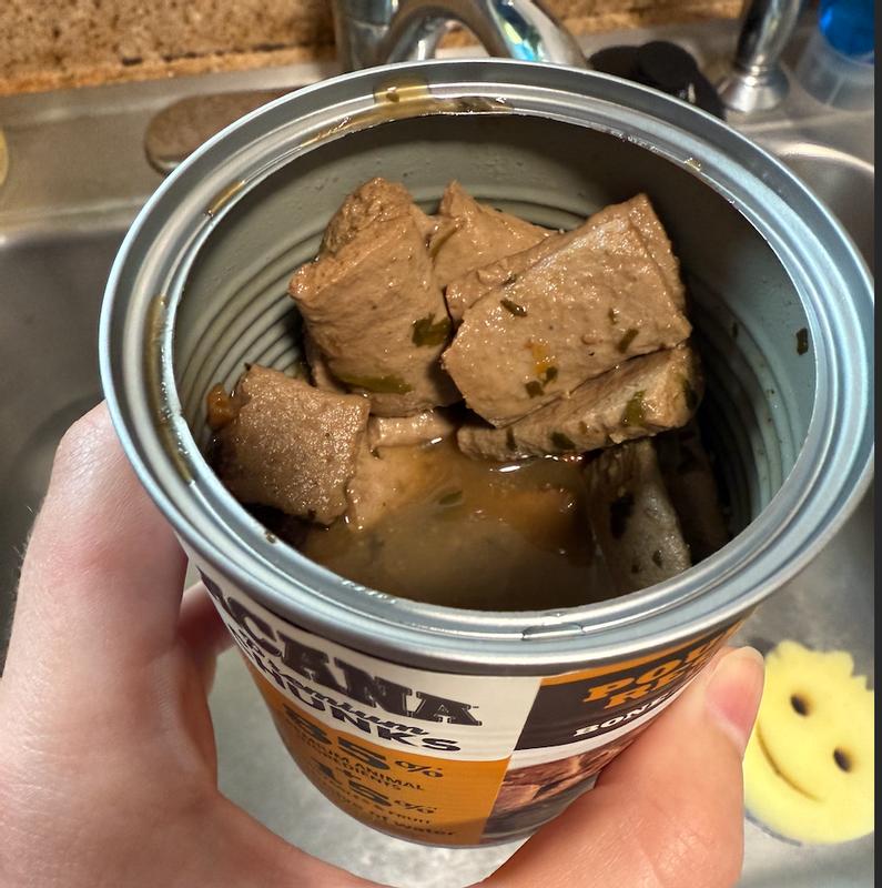 canned dog food