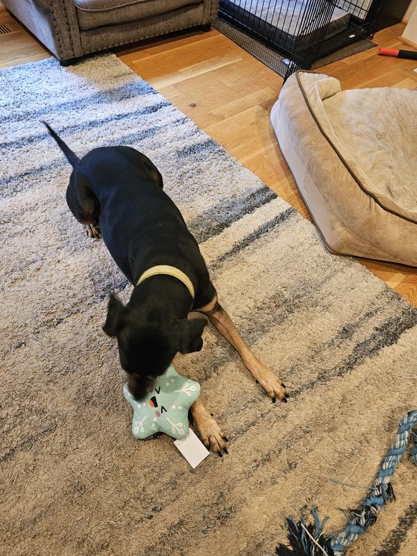 Very excited to get some good squeaks in