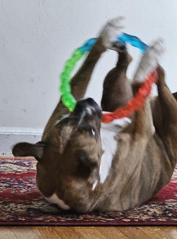 She loved it