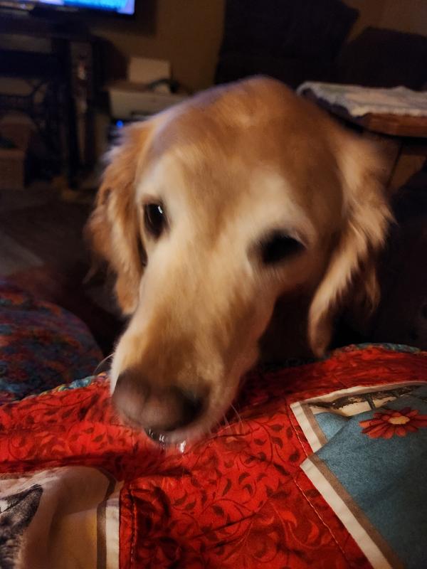 Mom playing games with us.