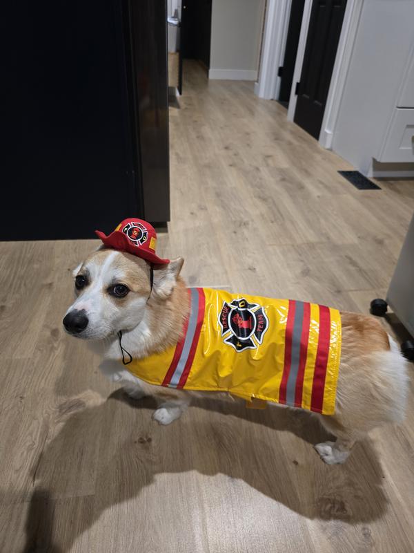 He might not look pleased but he is