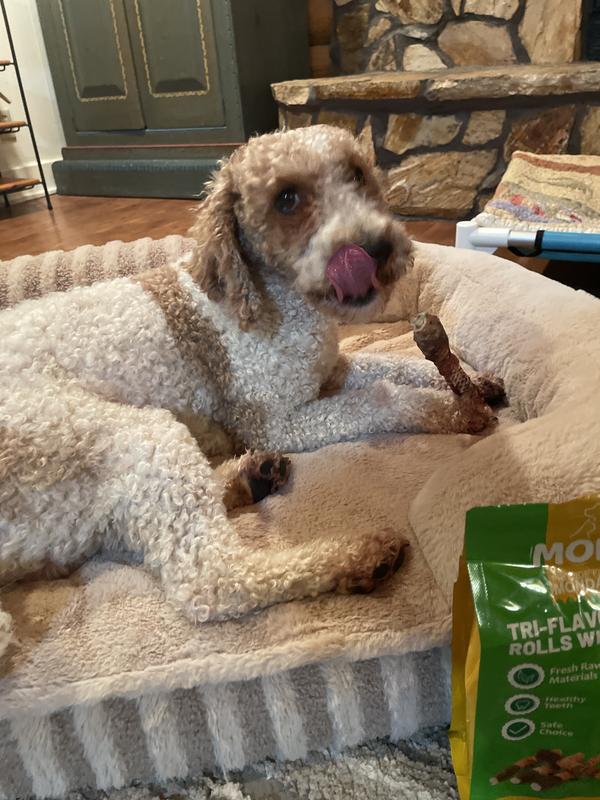 Sheldon loves the Mon2Sun rawhide chew sticks