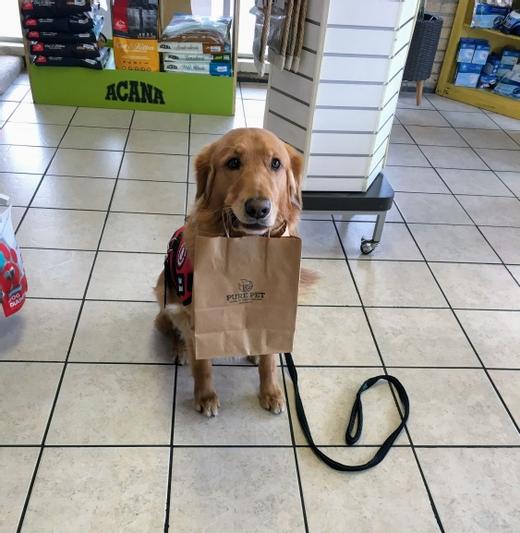 Do Air Horns Scare Dogs