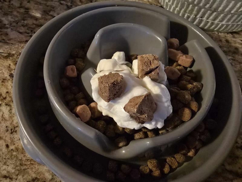 Drax bowl for dinner