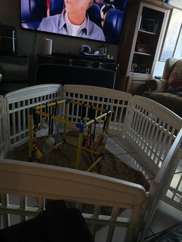 Chooch’s play area