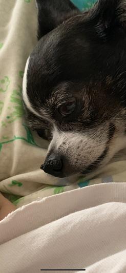 Before using Blissful Note Butter