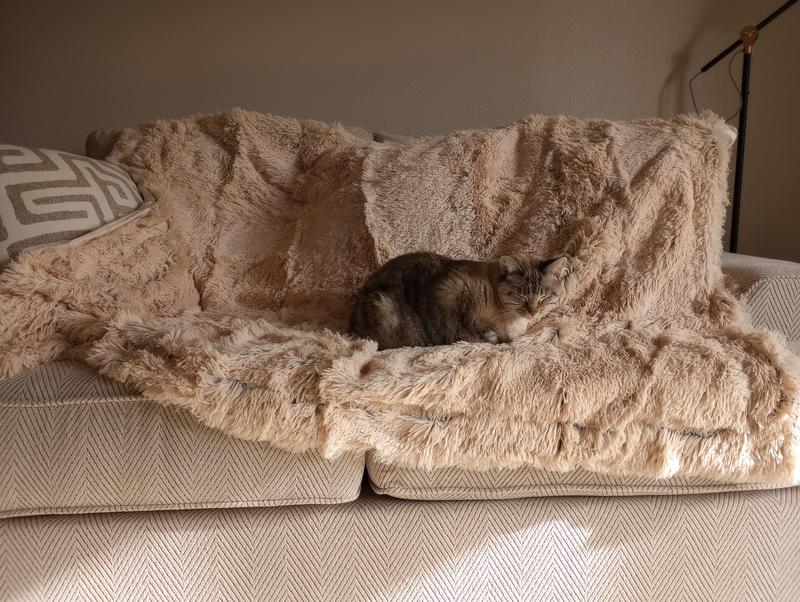 Birdie loves her new comfort blanket!