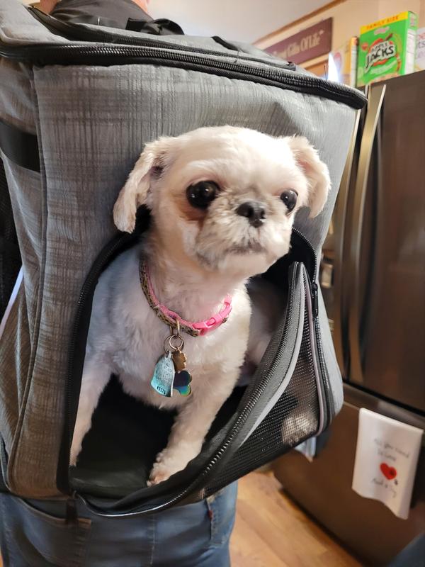 This backpack is heavy duty, has storage compartments and a tether strap to help keep your little fur kid in it better when you're moving and walking! They can also easily see outside too, which is one thing they all love to do!! This is a GREAT backpack!