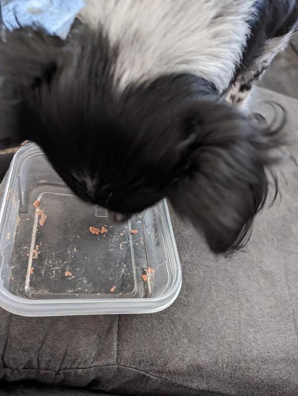 Licking the bowl!