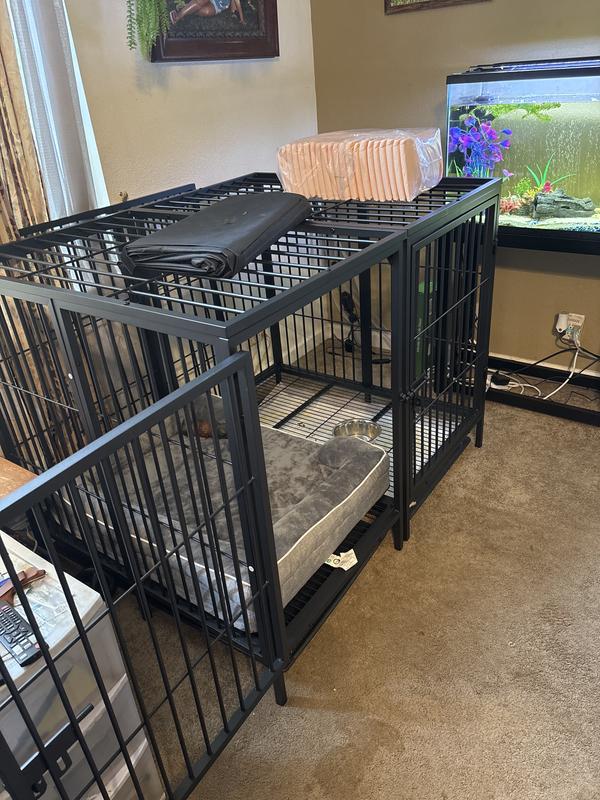 Perfect size for a big dog