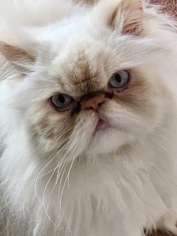 Micah being Micah - too darn adorable.