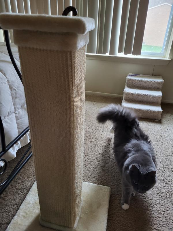 FRISCO 33.5in Sisal Cat Scratching Post, Gray