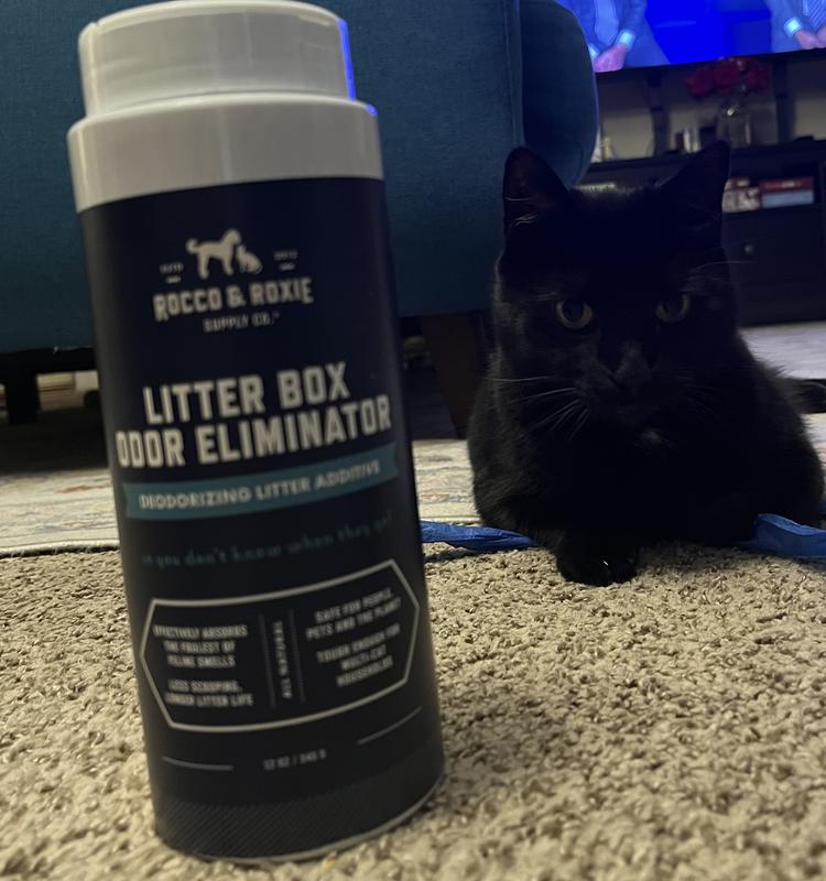 Kitty Litter