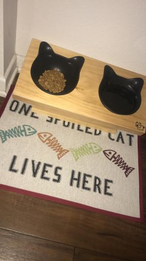 Vivipet buddy on sale elevated cat feeder