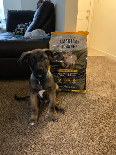 American journey shop large breed puppy