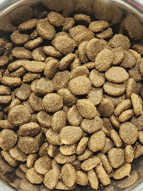 ACANA Wild Atlantic GrainFree Dry Cat Food, 4lb bag