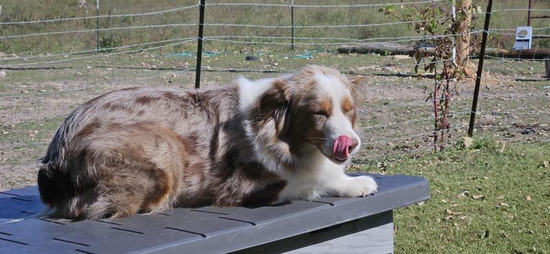 This is where I will spend my day!