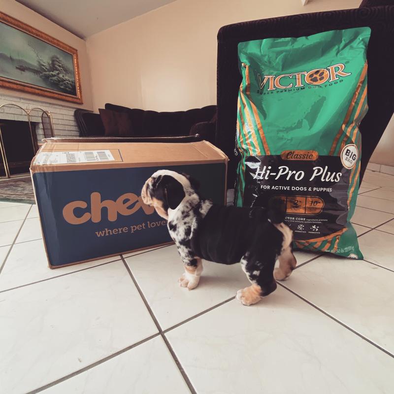 His first shipment!