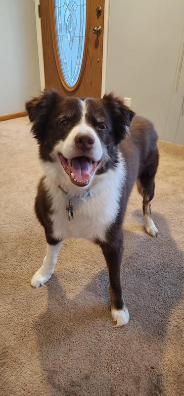 Very happy now can we play ?